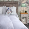 Laura Ashley Goose Feather Down Duvets 10.5